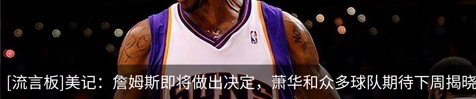 新闻动态